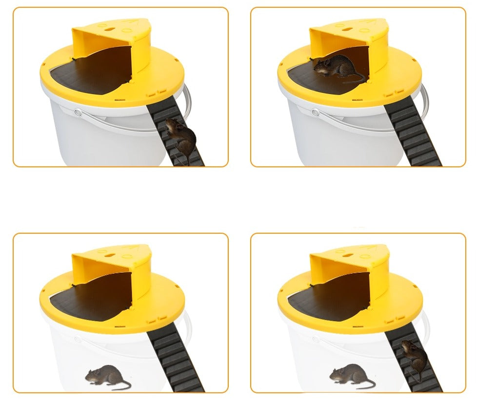 Auto-Reset-Mausefalle-Bella Webshop