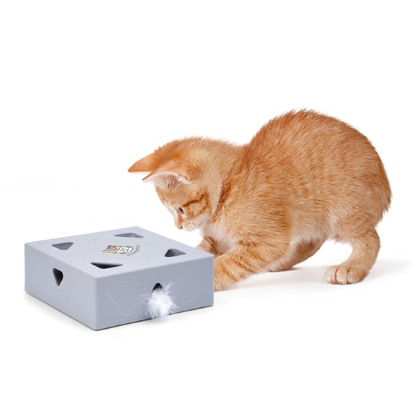 Automatisches Katzenspielzeug Feder-Bella Webshop
