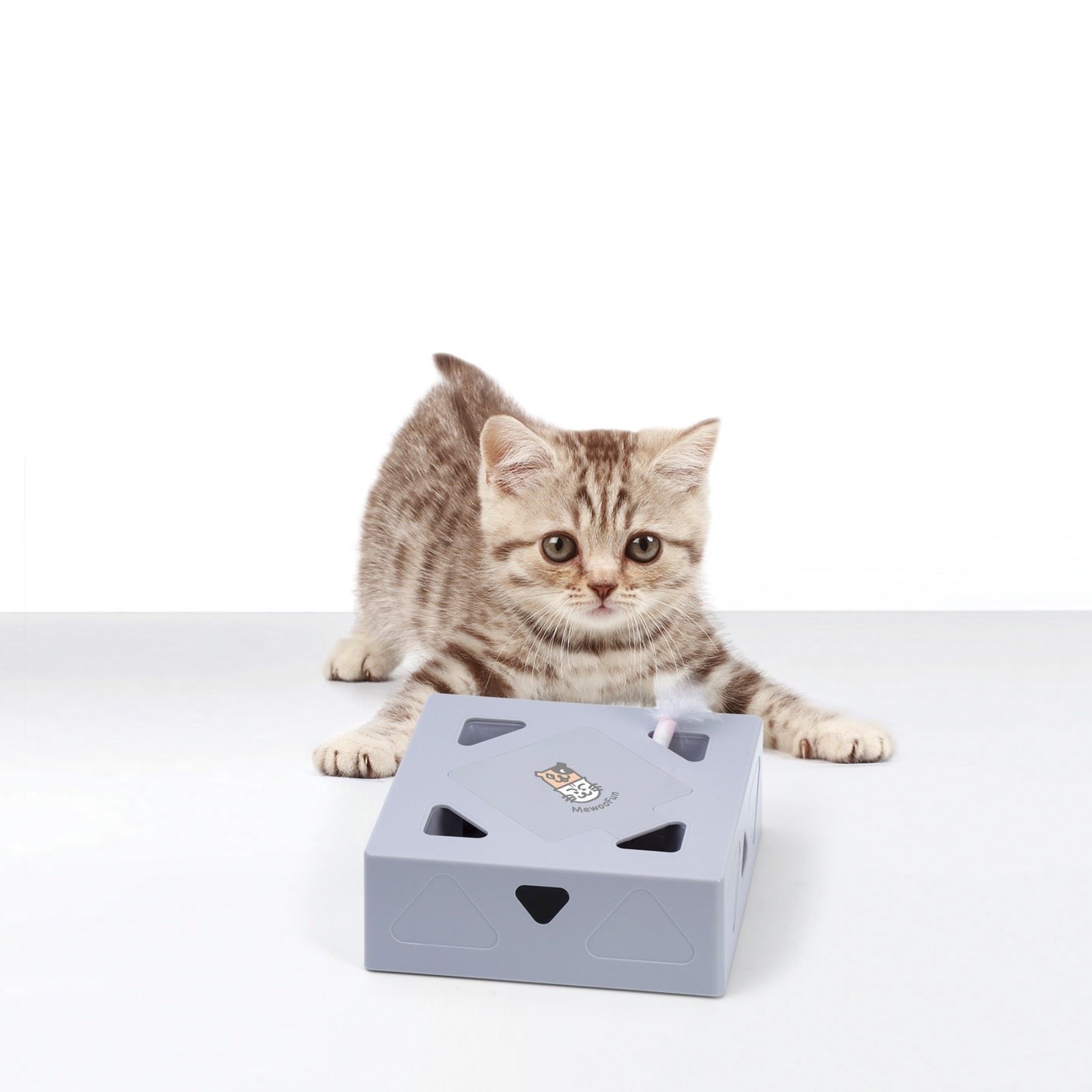 Automatisches Katzenspielzeug Feder-Bella Webshop
