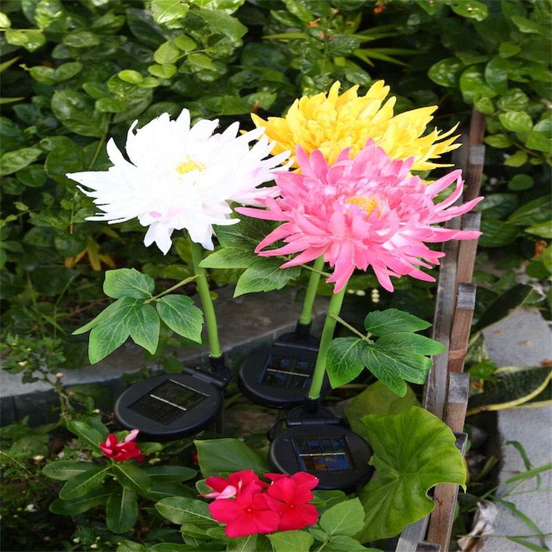 Chrysantheme Led-Solarleuchte-Bella Webshop