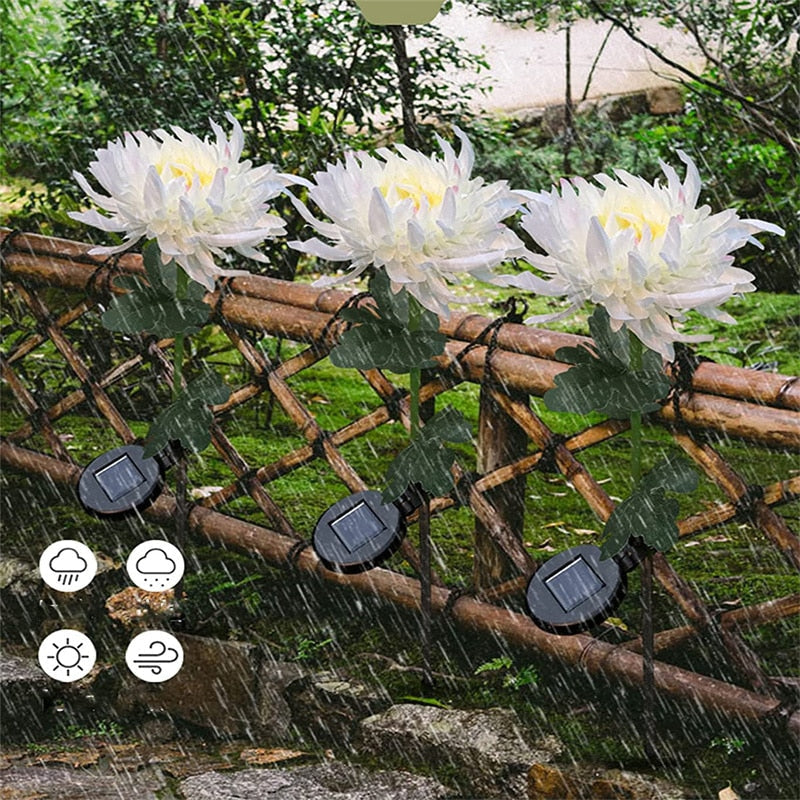 Chrysantheme Led-Solarleuchte-Bella Webshop