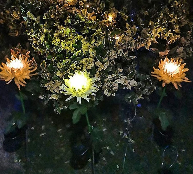 Chrysantheme Led-Solarleuchte-Bella Webshop
