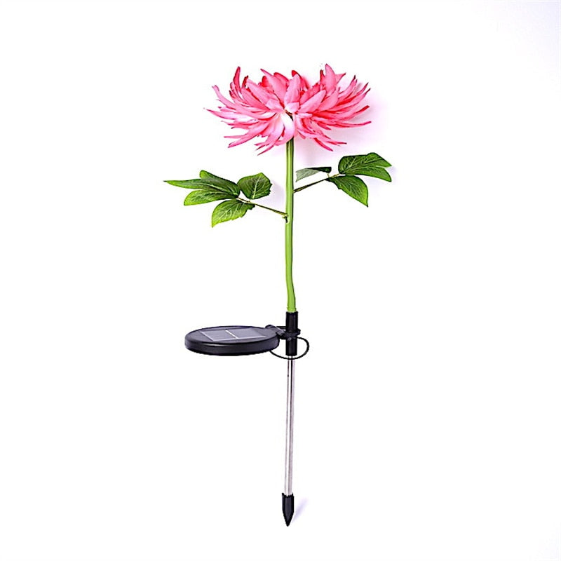 Chrysantheme Led-Solarleuchte-Bella Webshop