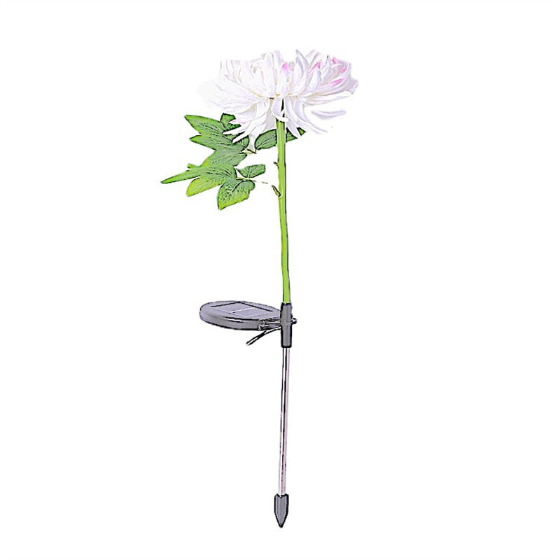 Chrysantheme Led-Solarleuchte-Bella Webshop