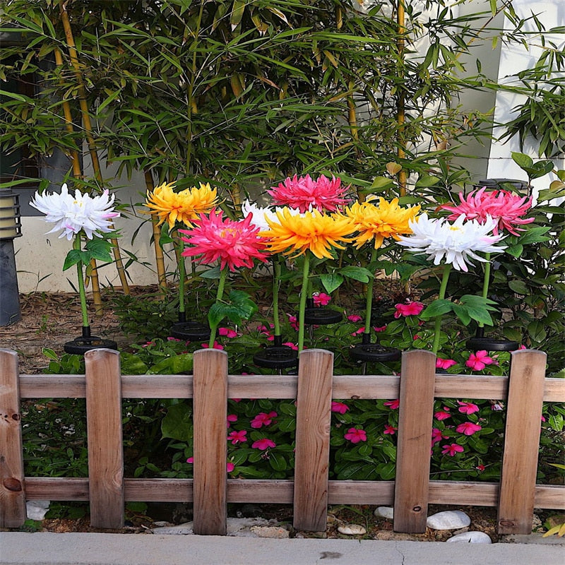 Chrysantheme Led-Solarleuchte-Bella Webshop
