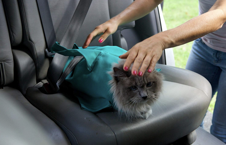 Comfy Cat Sling Tasche-Bella Webshop
