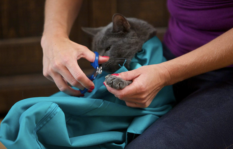 Comfy Cat Sling Tasche-Bella Webshop