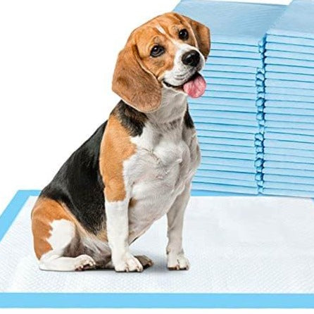 Hunde-Pinkel-Pads-Bella Webshop
