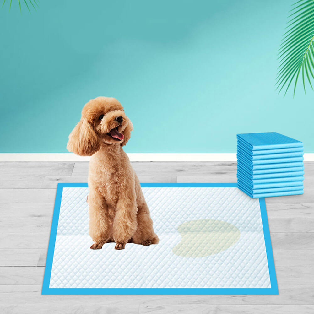 Hunde-Pinkel-Pads-Bella Webshop