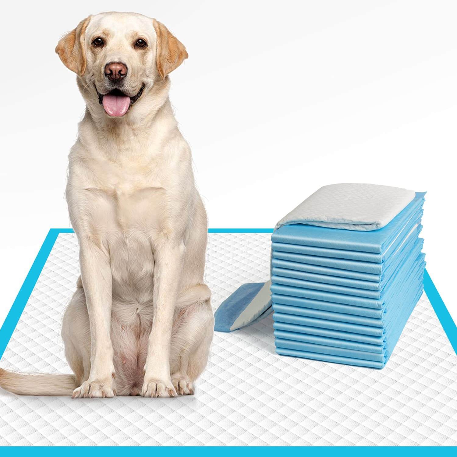 Hunde-Pinkel-Pads-Bella Webshop