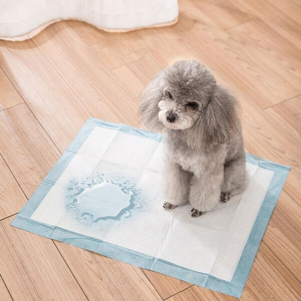 Hunde-Pinkel-Pads-Bella Webshop