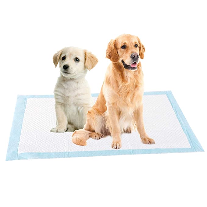 Hunde-Pinkel-Pads-Bella Webshop