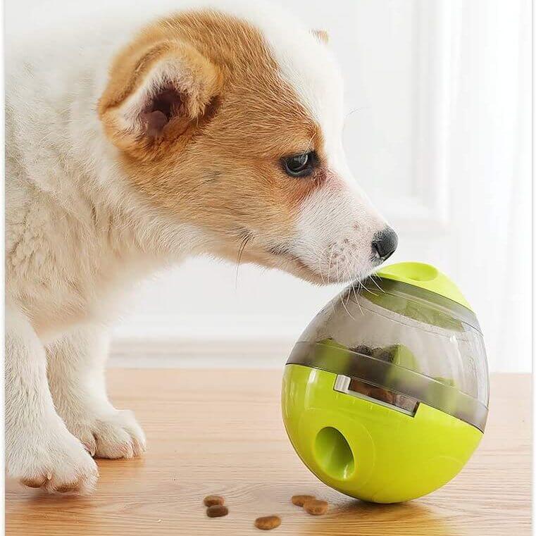 Interaktiver Futterautomatenball Für Hunde-Bella Webshop