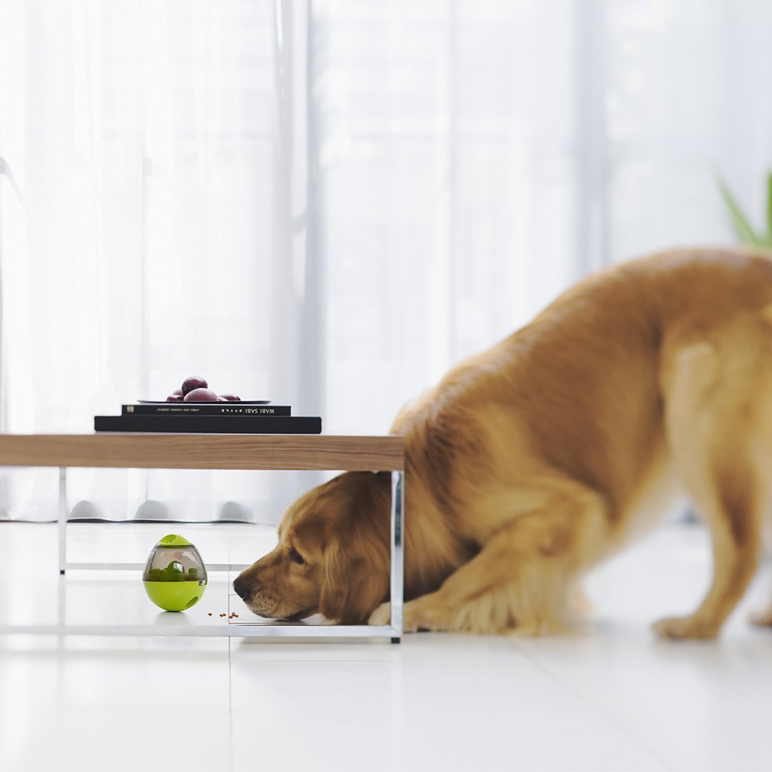 Interaktiver Futterautomatenball Für Hunde-Bella Webshop