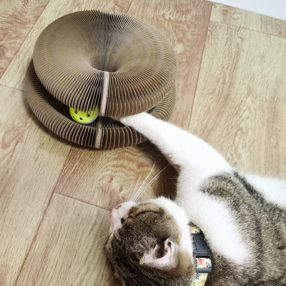 Katze Kratzbrett Spielzeug-Bella Webshop