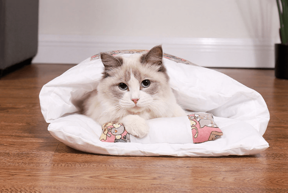Katzenschlafsack-Bella Webshop