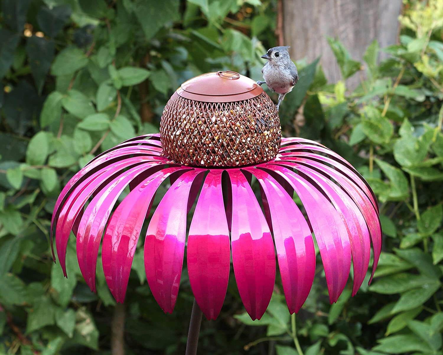 Kegelblume Vogelfutterhaus-Bella Webshop