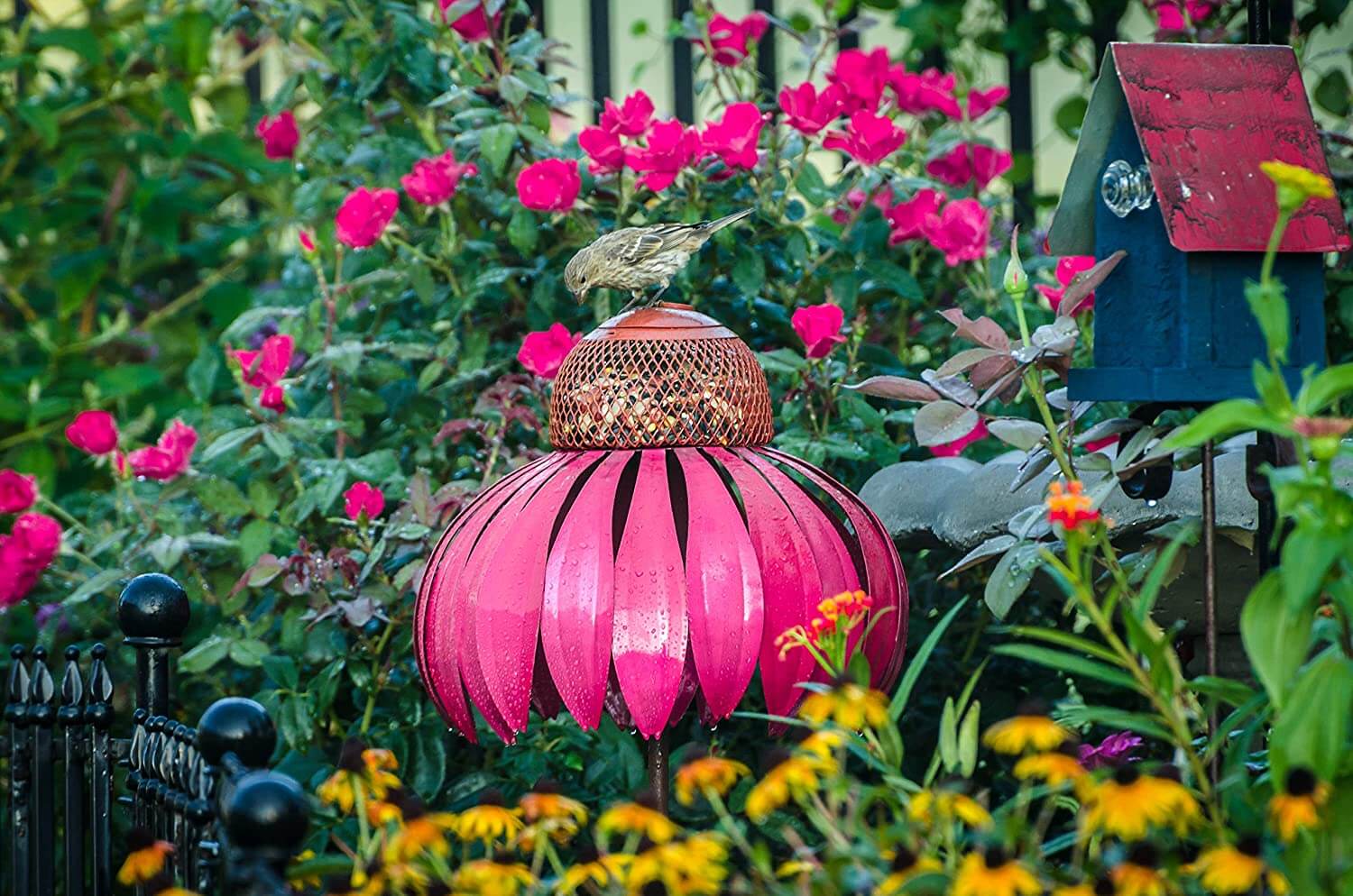 Kegelblume Vogelfutterhaus-Bella Webshop