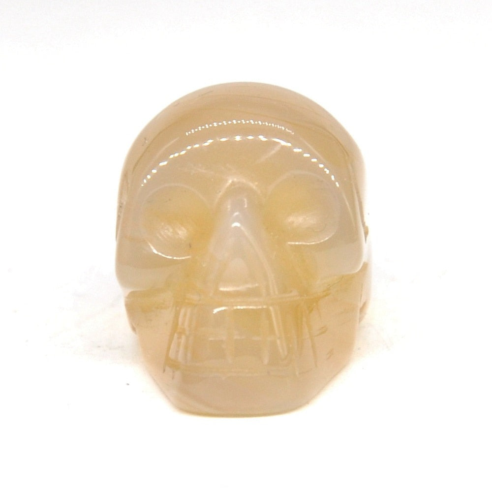 Natürlicher Schädelkristall Stein-Bella Webshop