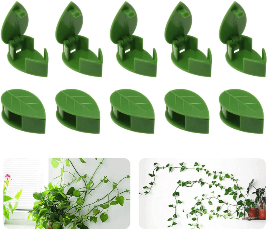 Pflanze Klettern Artefakt Fixierclip-Bella Webshop