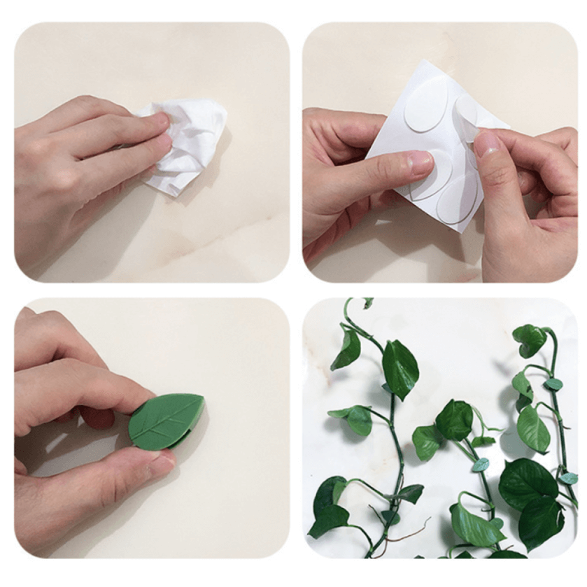 Pflanze Klettern Artefakt Fixierclip-Bella Webshop