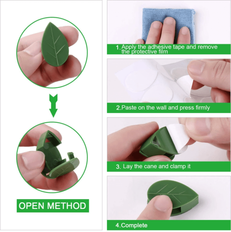 Pflanze Klettern Artefakt Fixierclip-Bella Webshop