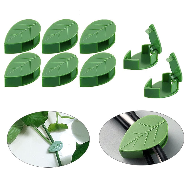 Pflanze Klettern Artefakt Fixierclip-Bella Webshop