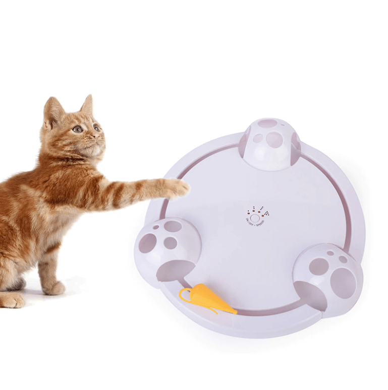 Pounce Katzenspielzeug-Bella Webshop