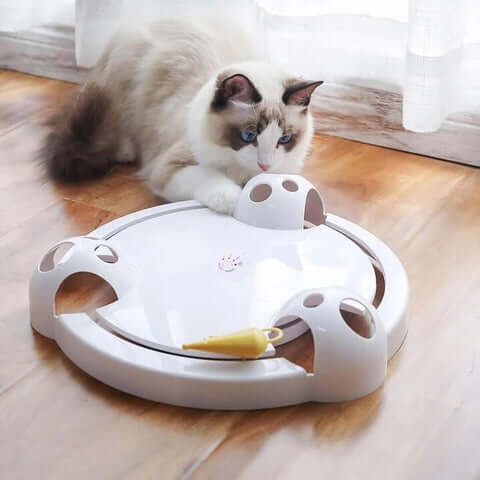 Pounce Katzenspielzeug-Bella Webshop
