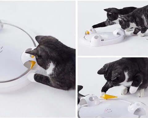 Pounce Katzenspielzeug-Bella Webshop