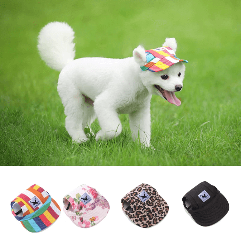 Runde Kante Hundekappe-Bella Webshop