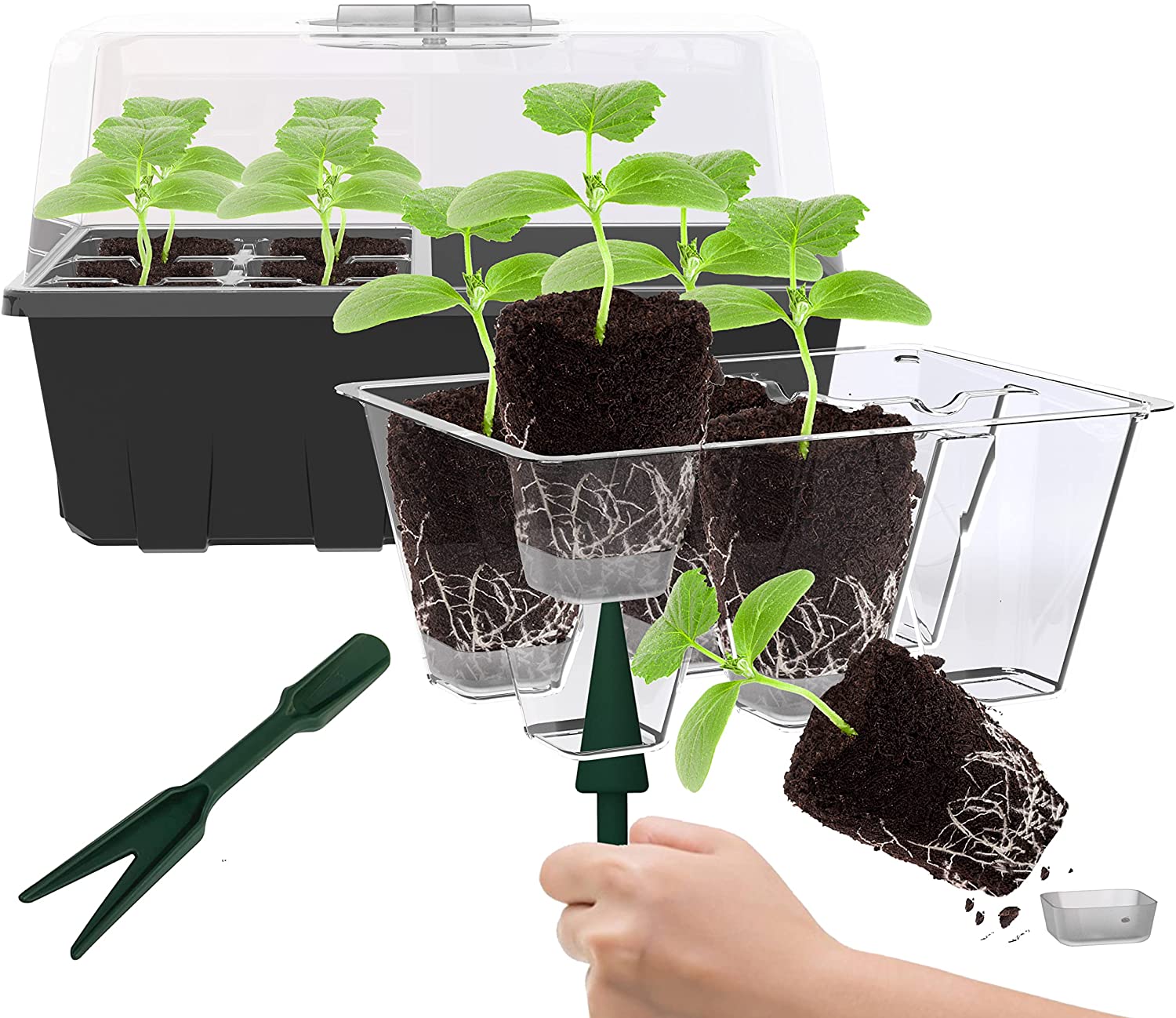 Saatgut-Starter-Schalen-Bella Webshop