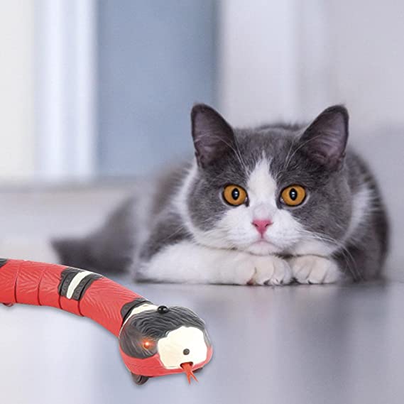 Schlange Katzenspielzeug-Bella Webshop