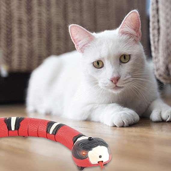 Schlange Katzenspielzeug-Bella Webshop