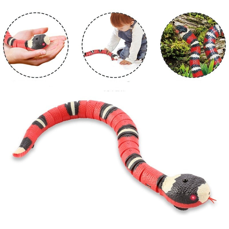 Schlange Katzenspielzeug-Bella Webshop