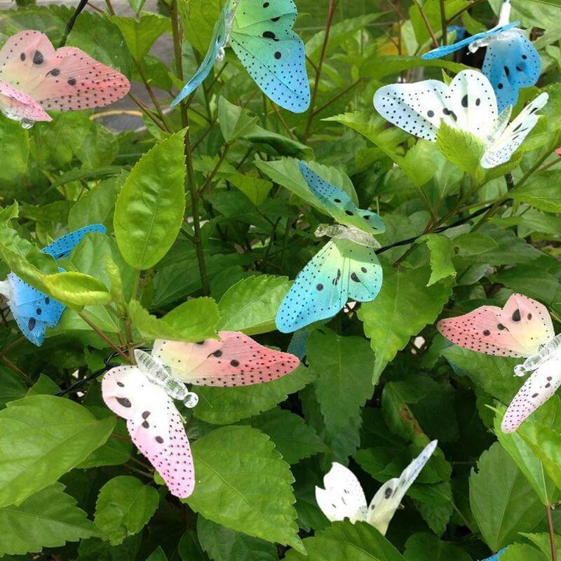 Schmetterling Led Lichterkette-Bella Webshop