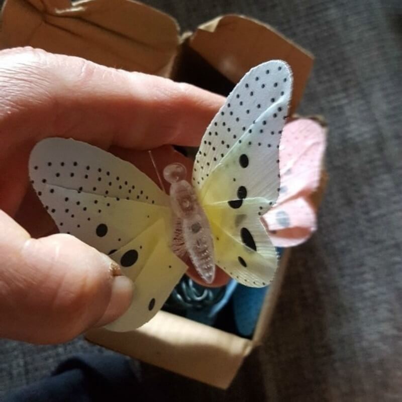 Schmetterling Led Lichterkette-Bella Webshop