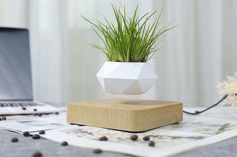 Schwebende Luft Bonsai Topf-Bella Webshop