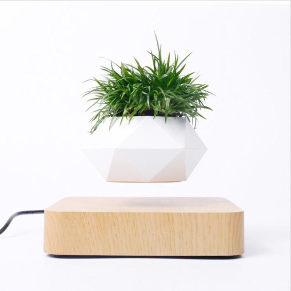 Schwebende Luft Bonsai Topf-Bella Webshop