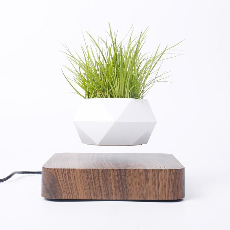 Schwebende Luft Bonsai Topf-Bella Webshop
