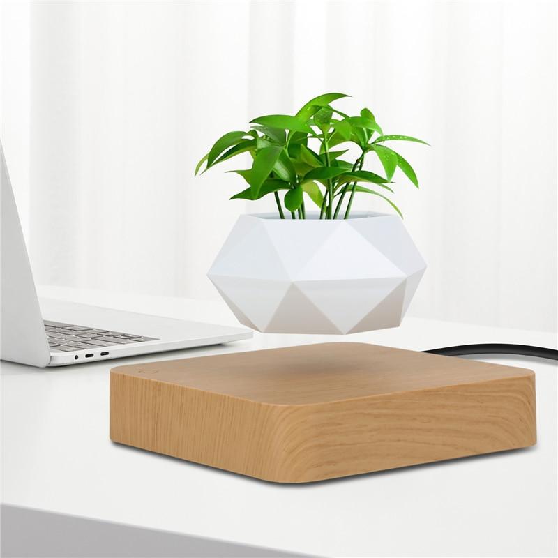 Schwebende Luft Bonsai Topf-Bella Webshop