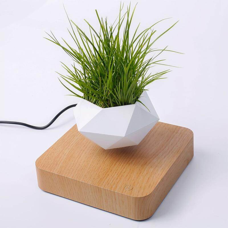 Schwebende Luft Bonsai Topf-Bella Webshop