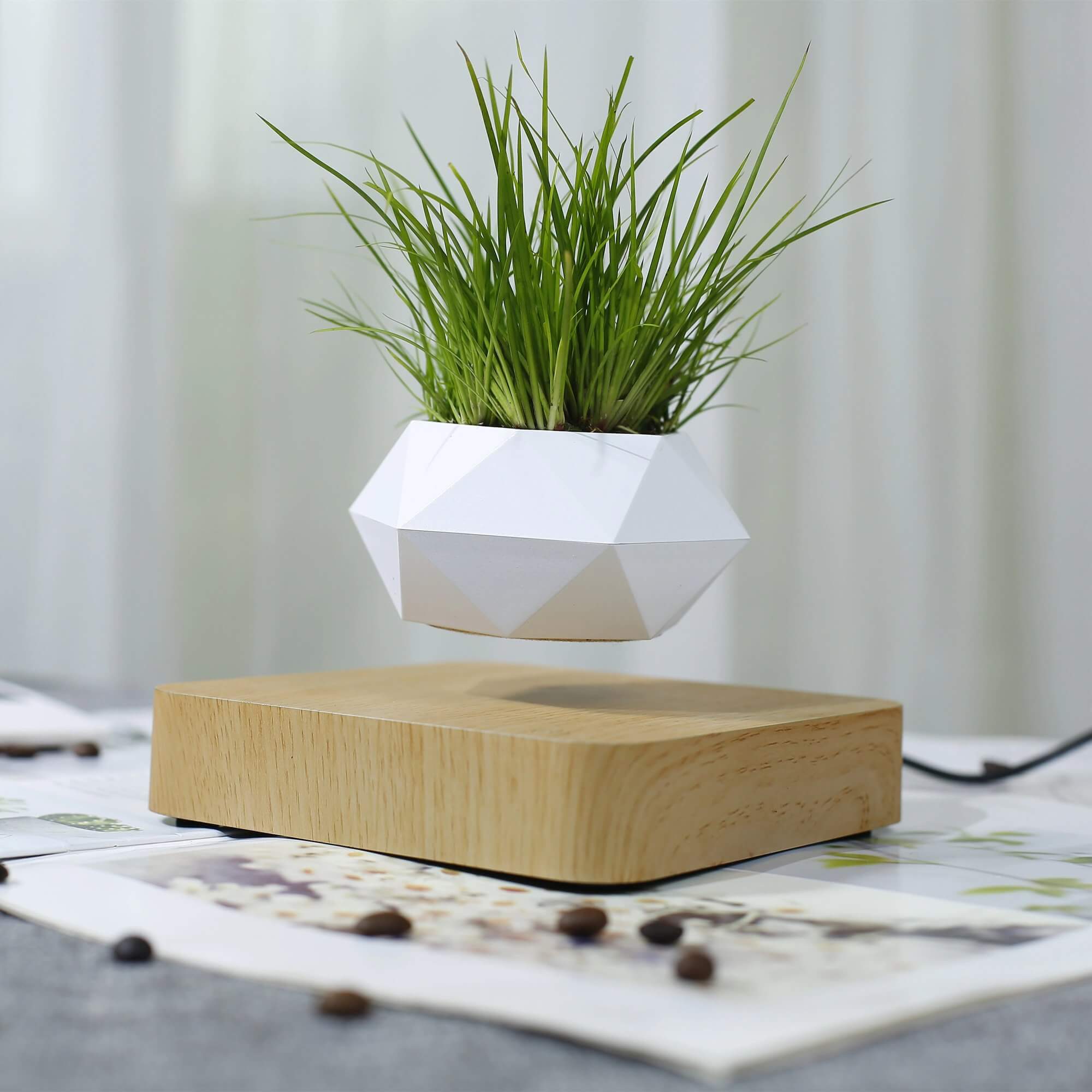 Schwebende Luft Bonsai Topf-Bella Webshop