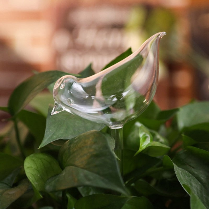 Selbstbewässernde Blumenzwiebel-Bella Webshop