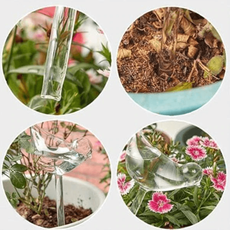 Selbstbewässernde Blumenzwiebel-Bella Webshop