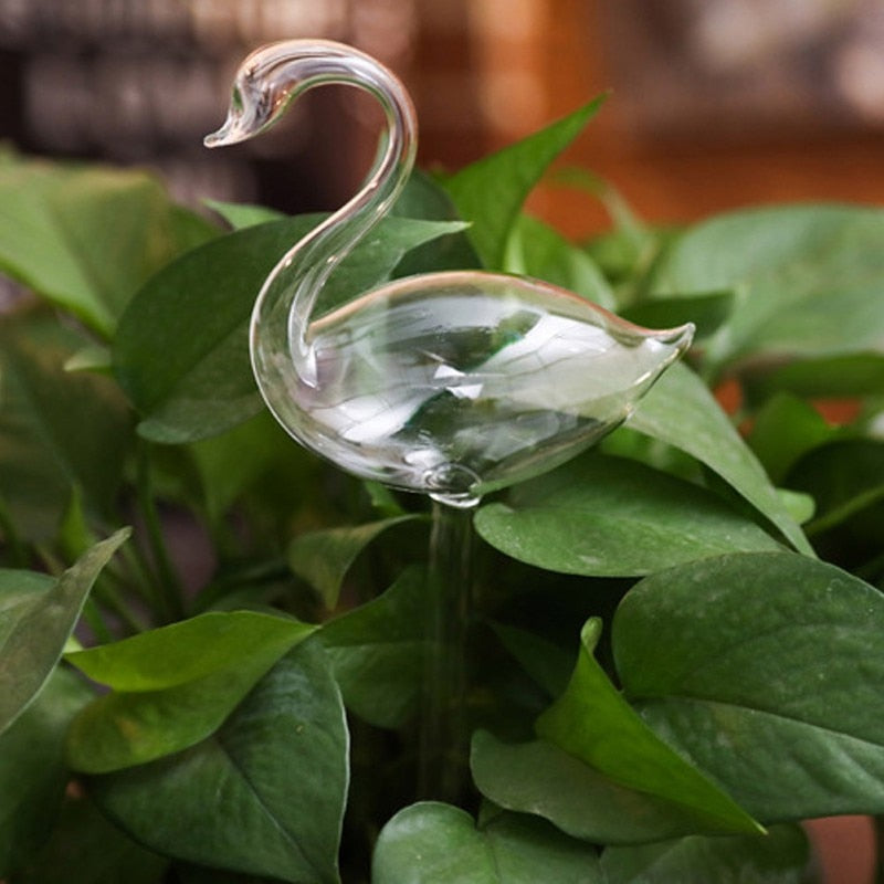 Selbstbewässernde Blumenzwiebel-Bella Webshop