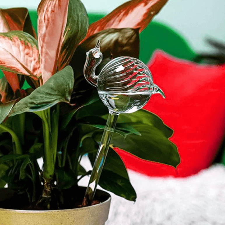 Selbstbewässernde Blumenzwiebel-Bella Webshop