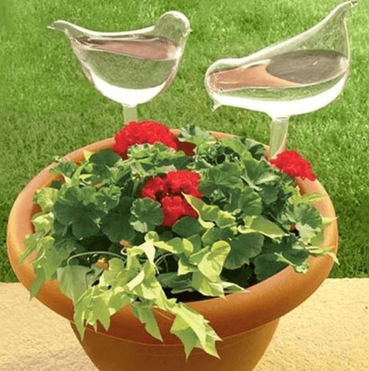 Selbstbewässernde Blumenzwiebel-Bella Webshop