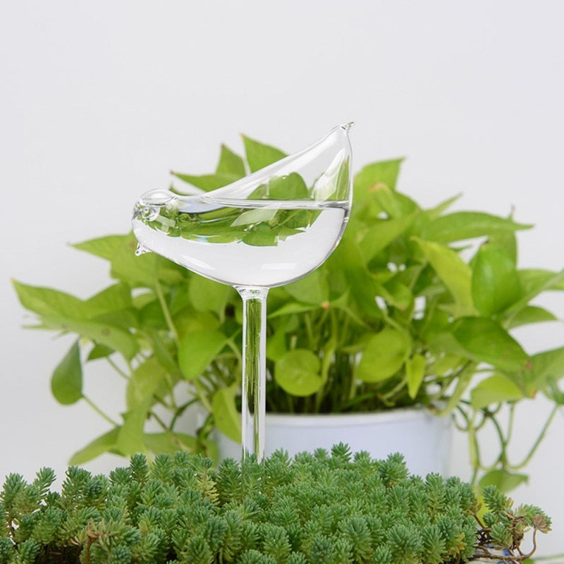 Selbstbewässernde Blumenzwiebel-Bella Webshop