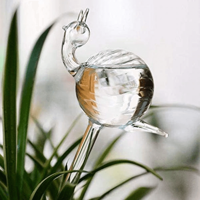 Selbstbewässernde Blumenzwiebel-Bella Webshop